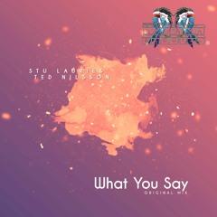 Stu Laurie & Ted Nilsson - What You Say [OUT NOW]