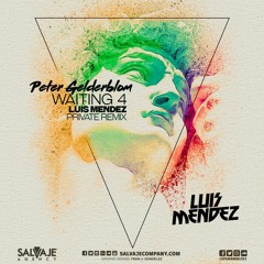 Peter Gelderblom - Waiting 4 (Luis Mendez Private Remix) "FREE DOWNLOAD"