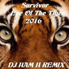 Survivor - Eye Of The Tiger (Dj Ham H Remix)
