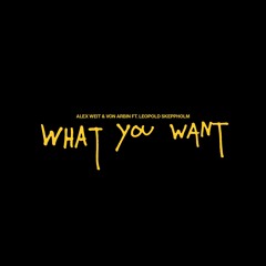 What You Want