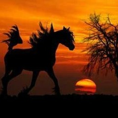 أقول لها وقد طارتْ شَعاعًا - قَطَرِيُّ بنُ الفُجاءة  بصوت اسعد عليو.MP3