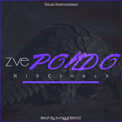 zvepondo (prod by SwayyzBeatz)