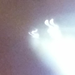 شريف عابد مع نجوم الليل