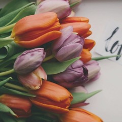 Tony Robbin's Gratitude Meditation