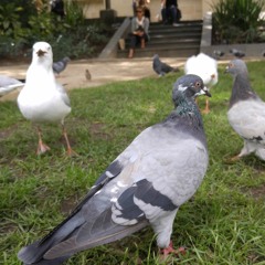 Heyyyyyyy Heyyyy Baby Oooh Ahhh I wanna knooooooooooooooooooooooow if you'll be my girl