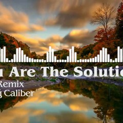 You Are The Solution (Chez Remix) - Loving Caliber