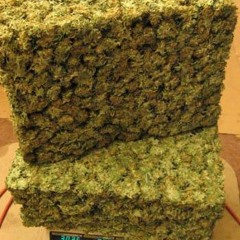 Bandino Ft Trayze - Bales