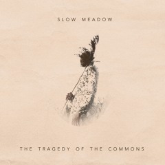 The Tragedy of the Commons