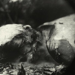 HAXX - This record will be decomposed