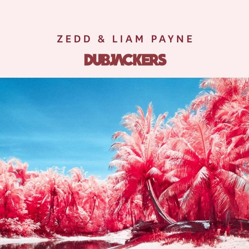 Zedd & Liam Payne - Get Low (Dubjackers Remix) by Dubjackers - Free  download on ToneDen