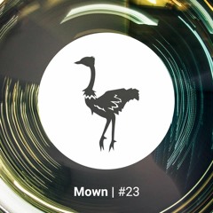 #23 | Mown