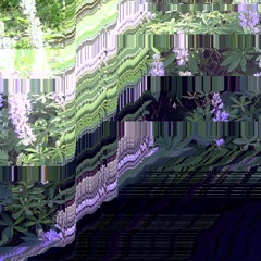 Lupines In Wind [Outdoor Session 2 album, 2017]