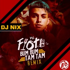 DJ Nix Feat. MC Fioti - Bum Bum Tam Tam (Remix)(2017)