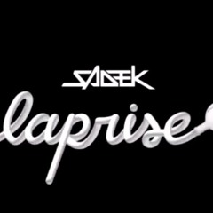 Sadek – La prise