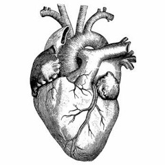 Free Heart ( FREE DL NOW )
