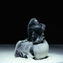 Belief Defect - Unnatural Instinct [Discreet Music Premiere]