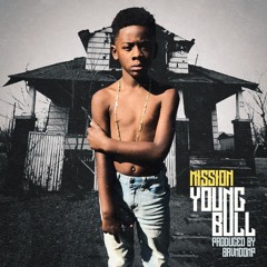 Mission - Young Bull