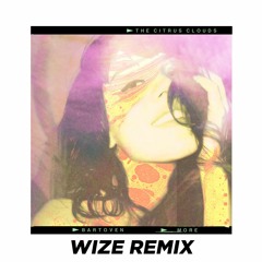 The Citrus Clouds - More (Feat. Bartoven)(WIZE remix)