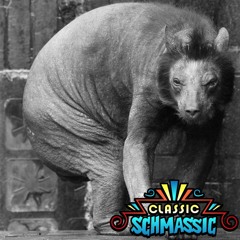 SOS #8 American Graffiti Schmamerican Schmraffiti