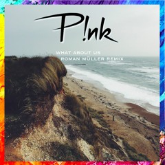 Pink - What About Us ( Roman Müller Remix )