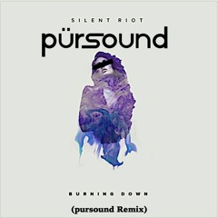 Silent Riot - Burning Down (pursound Remix)