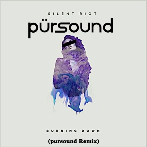 Silent Riot - Burning Down (pursound Remix)