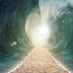 From The Rip ft. Marsini, Conscious Kane, Kwamikaze (prod. by Triggaaatt)