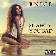 Bnice - Shawty You Bad.mp3