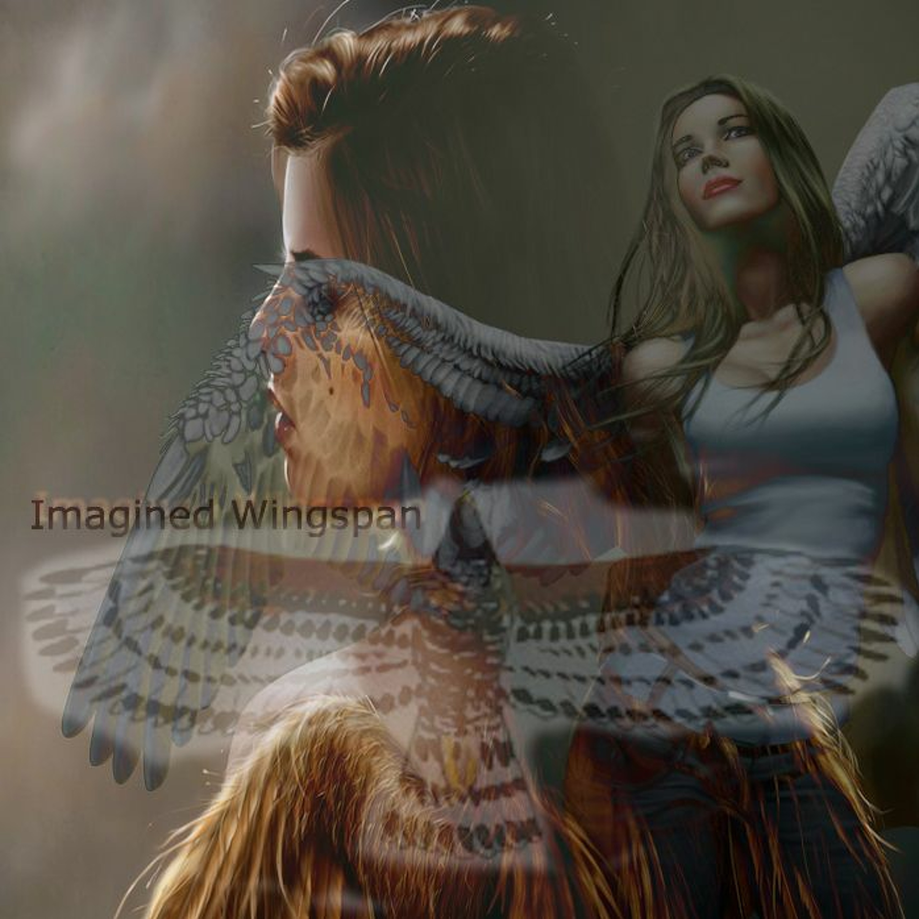 Imagined Wingspan -Final episode artwork