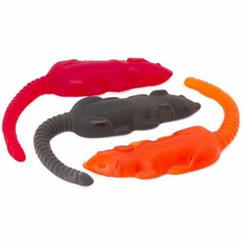 Jelly belly pet rat deals