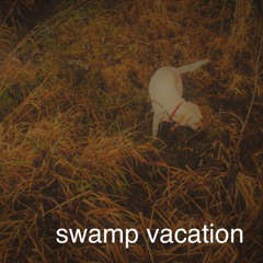 swamp vacation