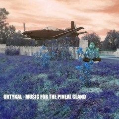 Music For The Pineal Gland