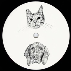 PREMIERE : Gorongosa - Wilbur