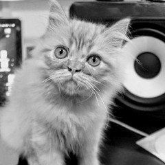 Session Warming - DJ RUDY SILVA