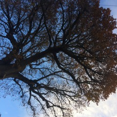 December is a winter month