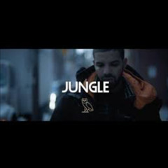 Drake Cover Jungle.