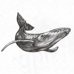 Starkovski - Whale 52 (RWUN012)