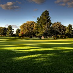 Llewellyn  - Opening Hearts