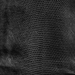 it's a fucking crazy man (prod. Medio Gramo)