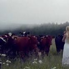 ▲㉿ꀤ▲-ѕαмρℓιиg ςσω gιяℓѕ