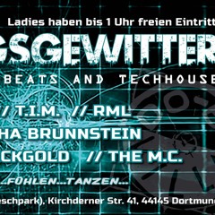 RML - Live @ Freitagsgewitter // DO-BO Villa // Dortmund // 11.08.2017