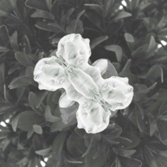 es·prit de corps tapes