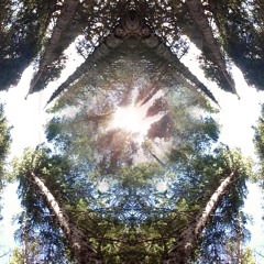 Shamanic Dynamic Drum Journey Redux