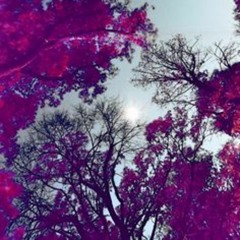 Stage 1 (Produced by Kash)