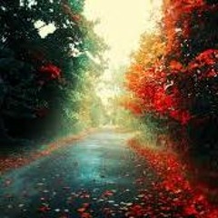 Lost (cover De Aylin)