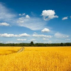 Я - козачка твоя