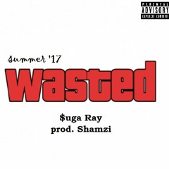 Summer '17 Wasted (Prod. Shamzi)