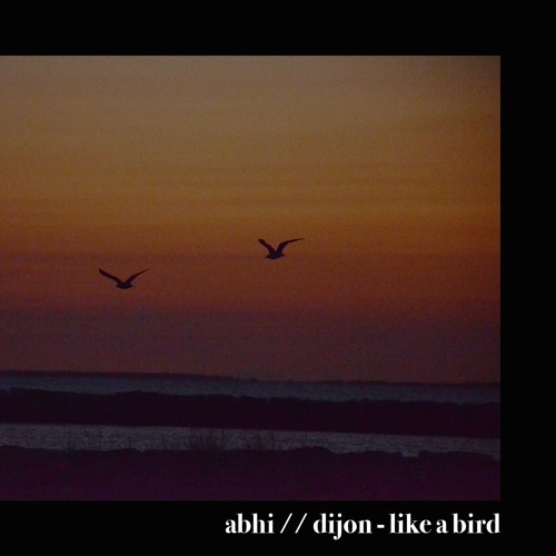 abhi//dijon - like a bird