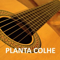 Planta Colhe (letra: Arnaldo Antunes)