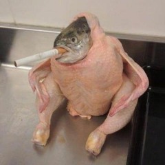 Chickens With Cigarettes